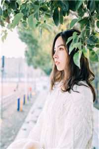 老婆把我打残后，我杀疯了冯如茵许烨全局