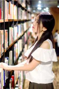 上仙临淮凌辰小说