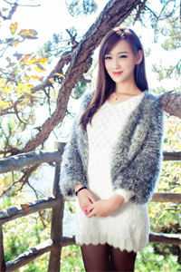 曾把深情寄明月完结版秦时川苏婉玥