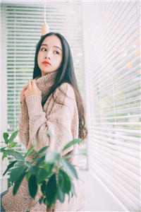 离婚掉马后，陆总舔狗上身跪求我复婚 全集